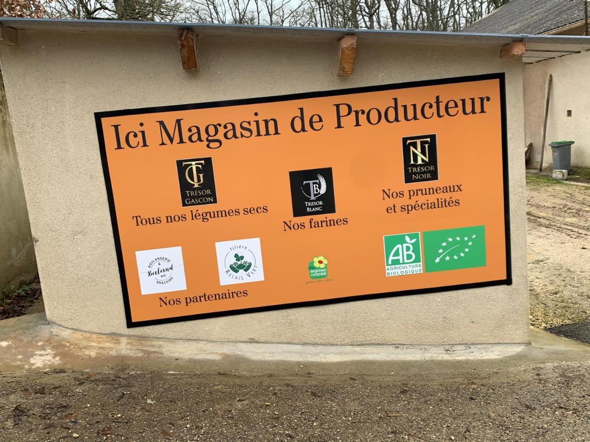 Gite De Beausoleil La Romieu Ngoại thất bức ảnh